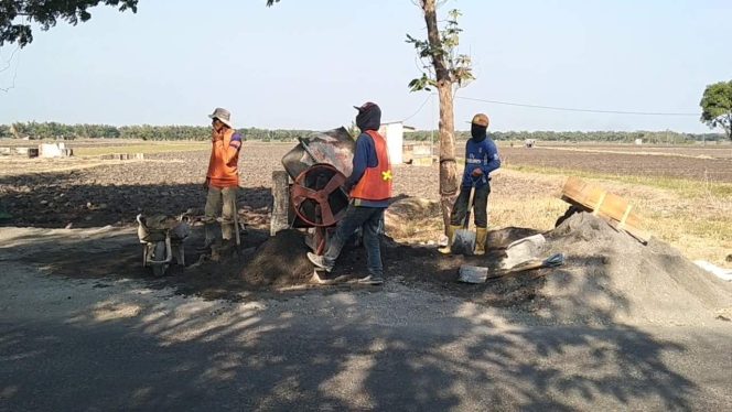
					Diduga Proyek TPT di Desa Mojorembun Tanpa Papan Nama dan Tidak Memperhatikan Keselamatan Kerja