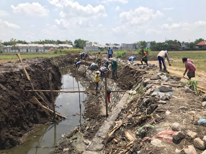 
					Dinas PUPR Nganjuk Perbaikan Saluran Irigasi di Werungotok: Solusi untuk Mencegah Banjir dan Mendukung Pertanian