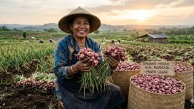 Petani bawang saat panen raya 