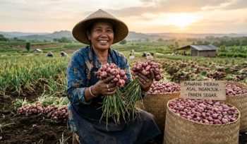 Bawang merah asal Kabupaten Nganjuk