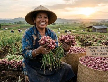 Petani bawang saat panen raya 