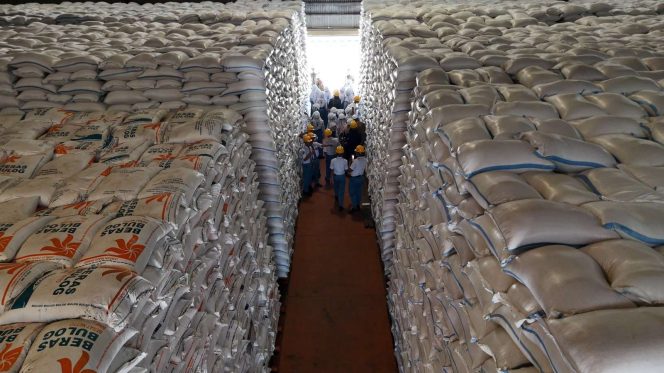 
					BULOG Kediri Sewa Gudang Untuk Tampung Lonjakan Stok, Sedangkan Stok Beras Nasional Tembus 5 Juta Ton