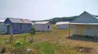IMG-20260811-WA0097