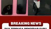 WhatsApp Image 2026-08-08 at 11.50.15