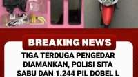 WhatsApp Image 2026-08-18 at 14.28.51