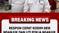 38e54aff-c1c1-40e0-9709-2f118eab08a9
